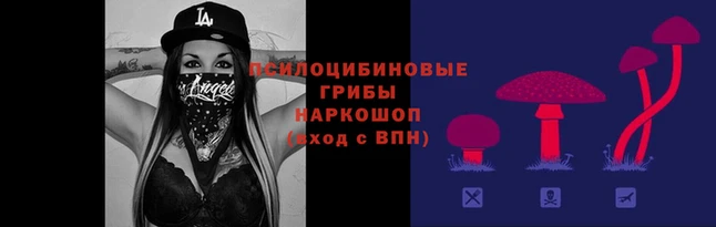 mdpv Осинники